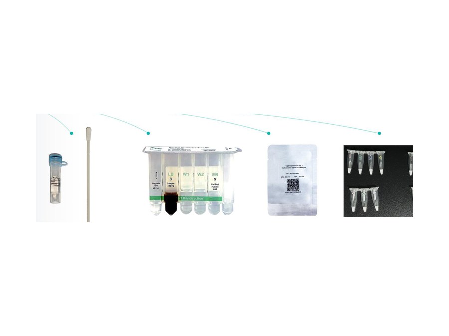 Internal Control Real Time PCR Detection Kit