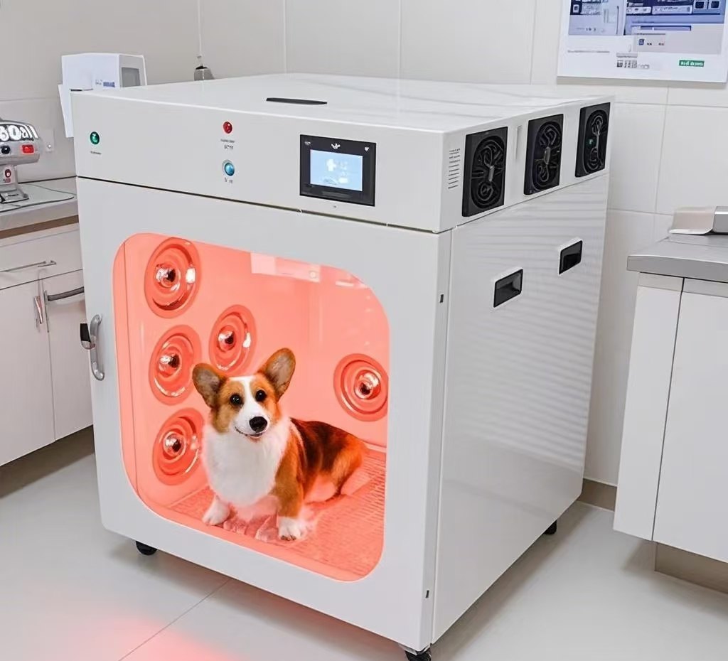 Armoire de séchage fonctionnant avec un corgi à l'intérieur