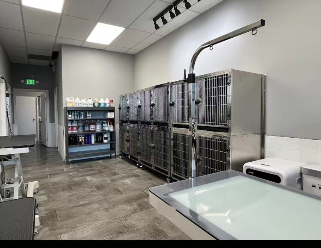 Une salle d'hôpital équipée d'un banc de cages en acier inoxydable, d'une table de soins et d'une baignoire